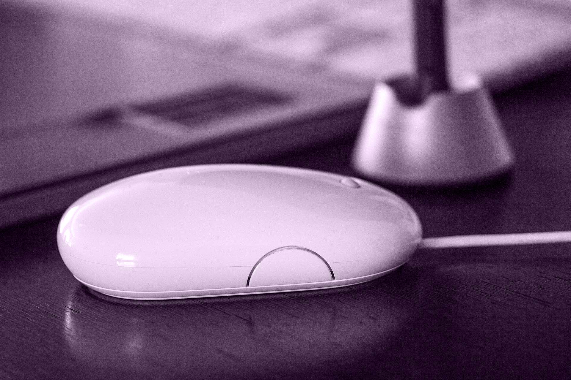 Intro to Website Dev & Design