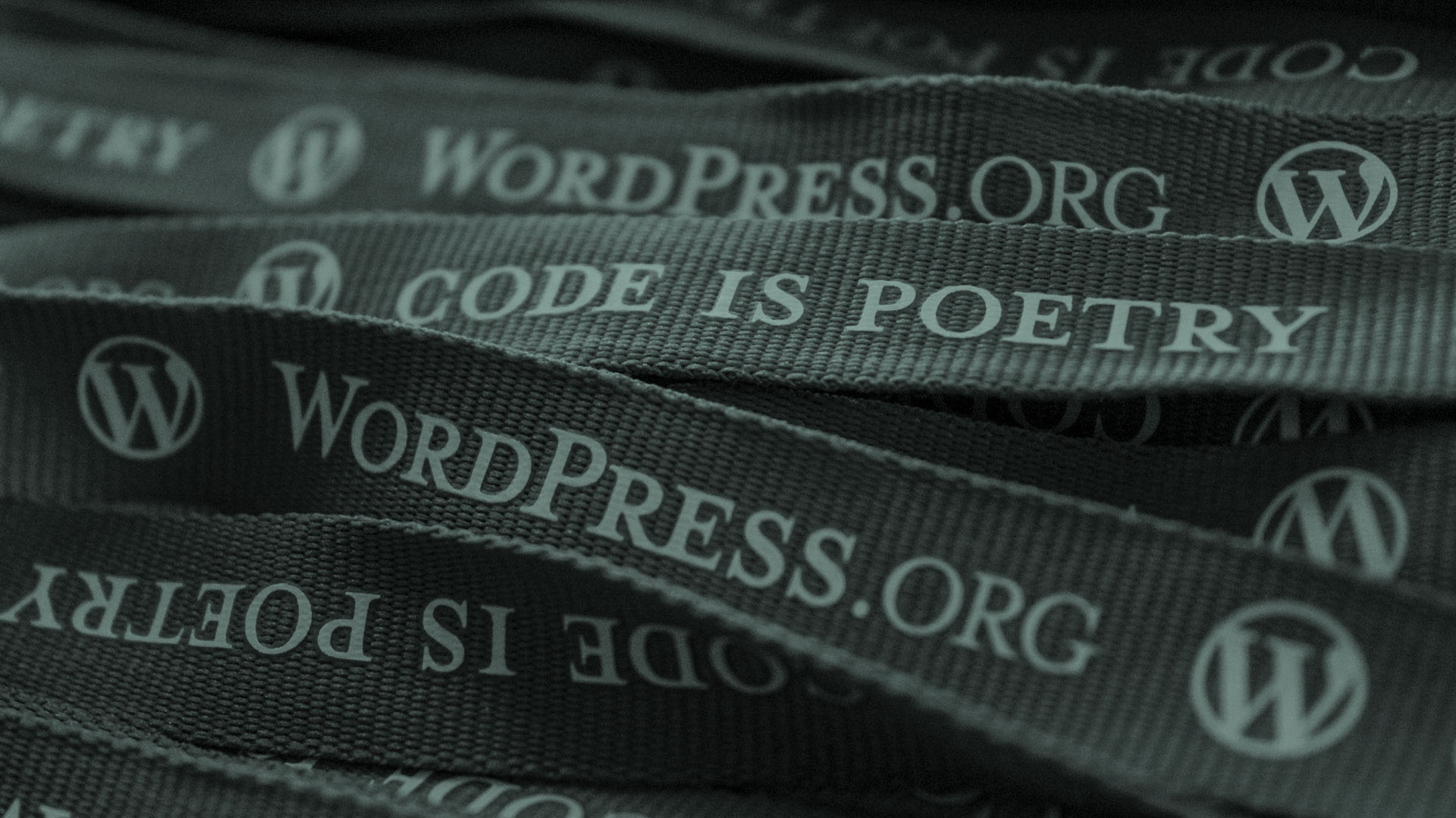 Beginning Web Design: WordPress