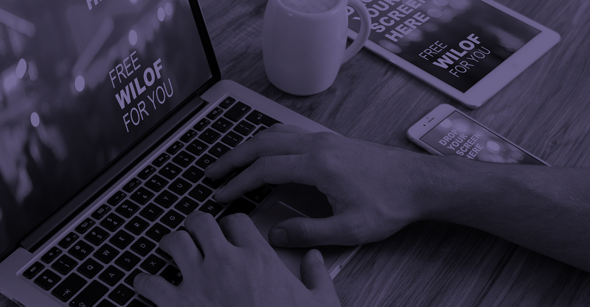 UX/UI Design for the Web